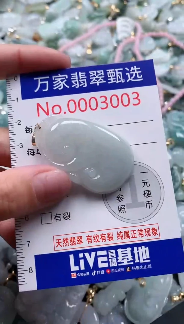 翡翠未镶嵌吊坠(不含链)3003