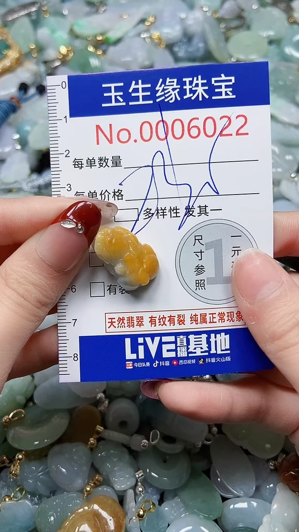 【闪购商品】翡翠颈饰未镶嵌闪购00006022