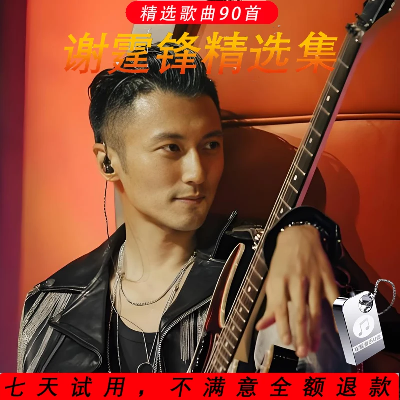 谢霆锋车载专辑u盘歌曲华语怀旧流行经典情歌无损高音质MP3优盘