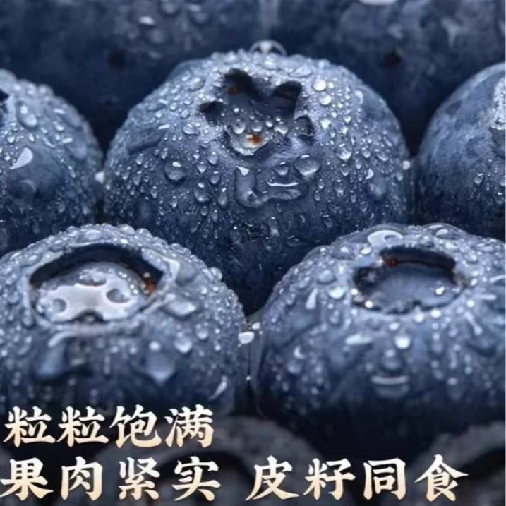 【L25大果18+】高山花香蓝莓鲜果现摘新鲜脆甜兰花香
