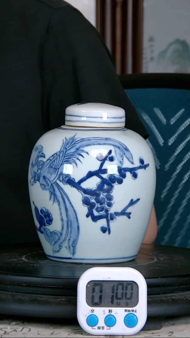 为**候青壶精绘花鸟图罐