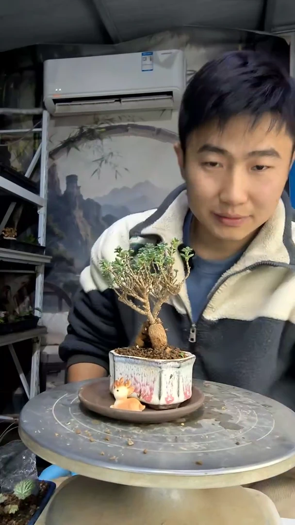 o****i中青园艺一物一拍花179