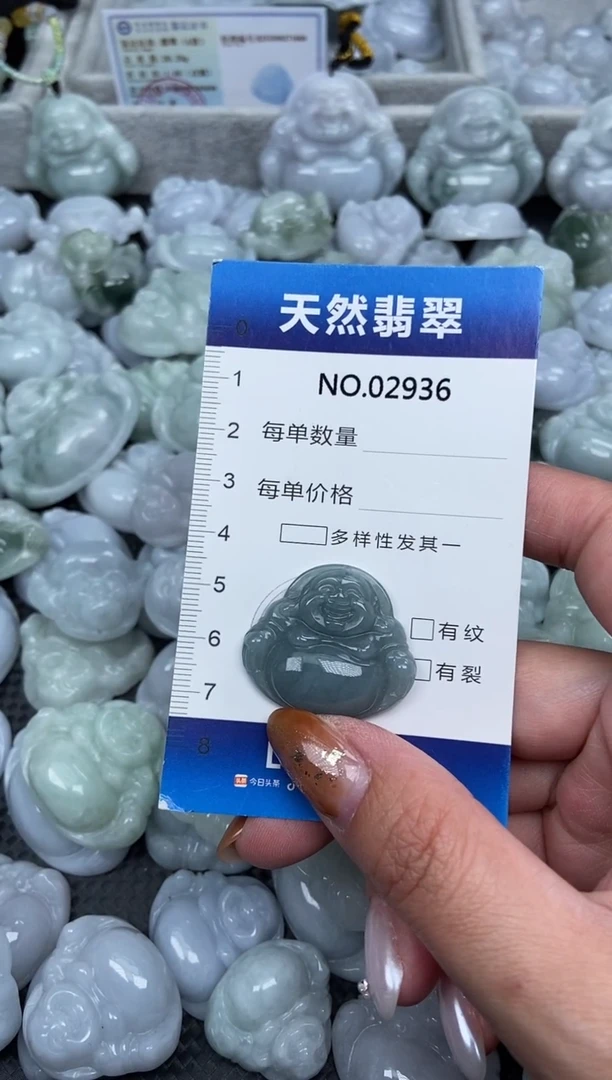 颈饰未镶嵌翡翠纯天然A货翡翠2936