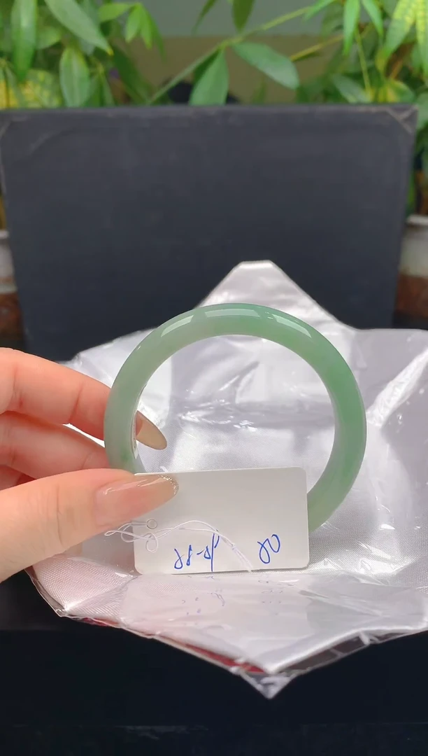 未镶嵌手镯翡翠21