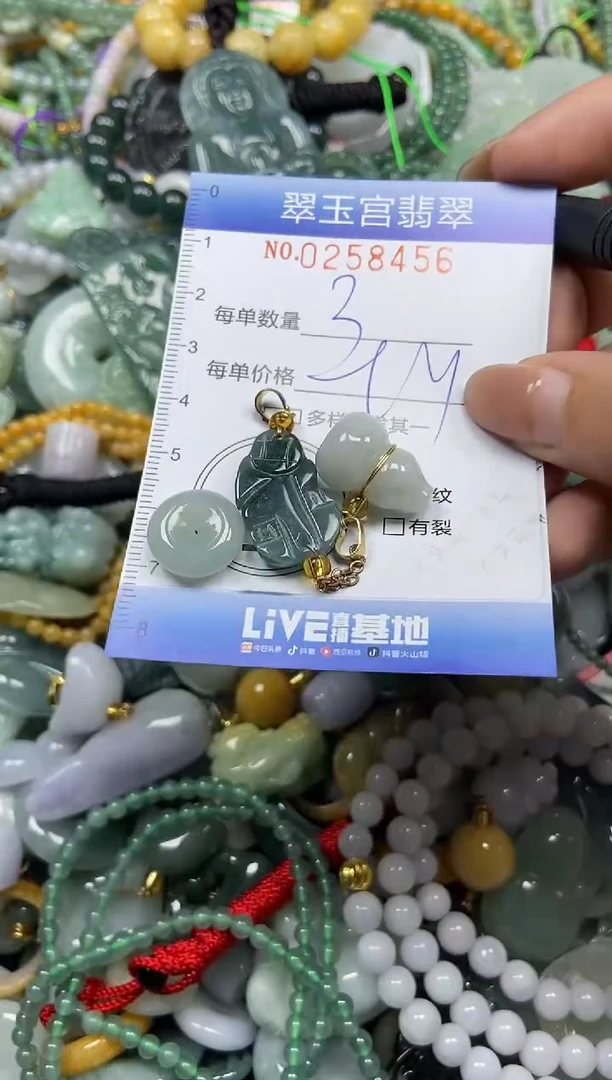 颈饰未镶嵌翡翠闪购C0258456