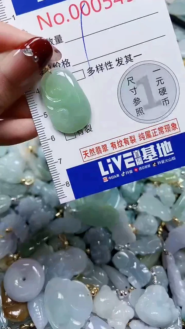 【闪购商品】翡翠颈饰未镶嵌闪购00005495