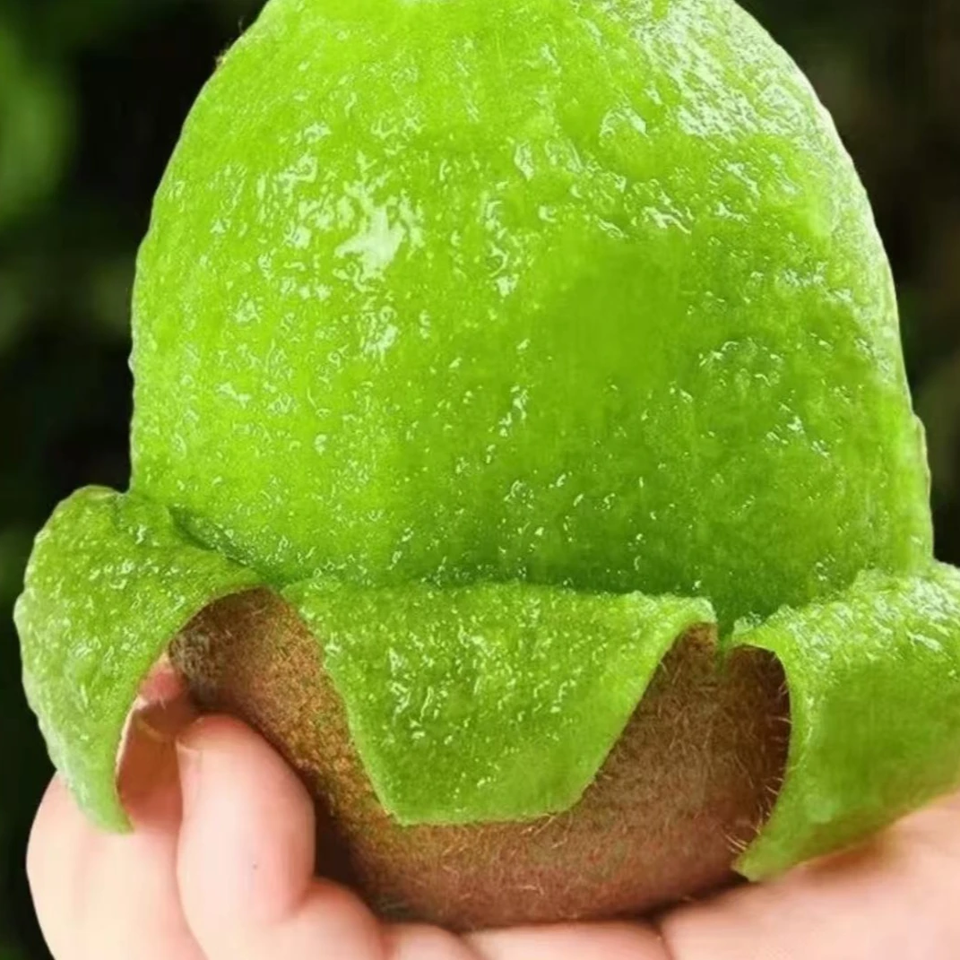 正宗陕西绿心猕猴桃软糯多汁香甜可口坏果包赔mz