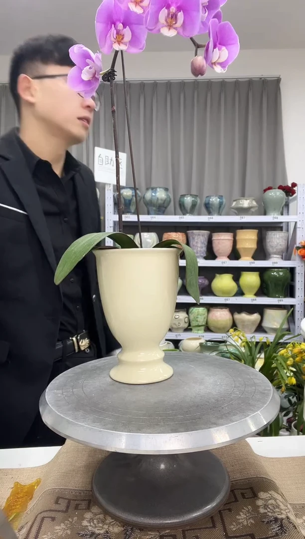 【1.4】花盆尺寸 高： 17 口：11