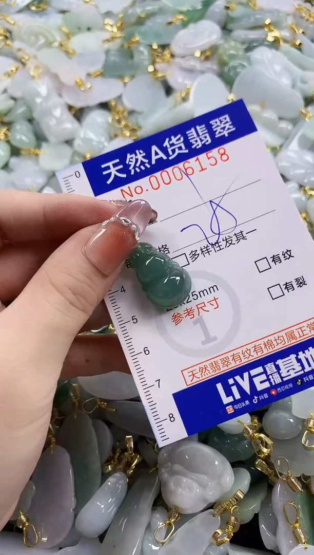 颈饰未镶嵌翡翠天然A货翡翠