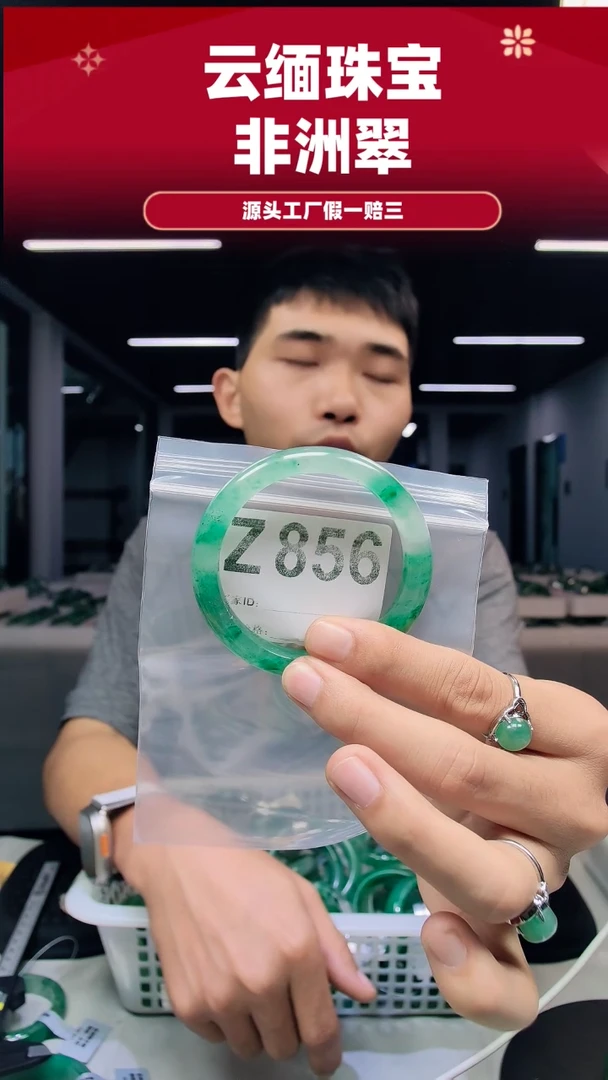 未镶嵌手镯石英质玉（非洲翠）54圈口Z856