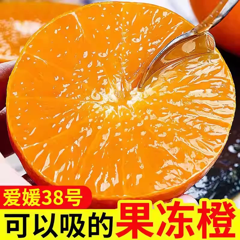 四川爱媛38号果冻橙新鲜应季爆汁甜手剥橙子麦d
