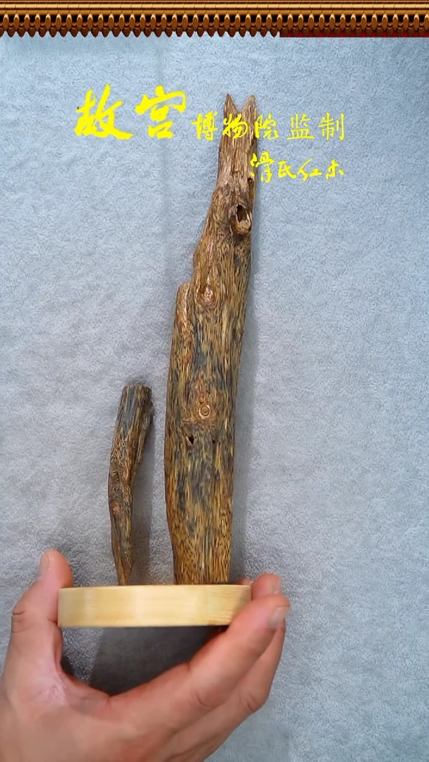 沉香手串奇楠虫漏摆件 61克 240910063