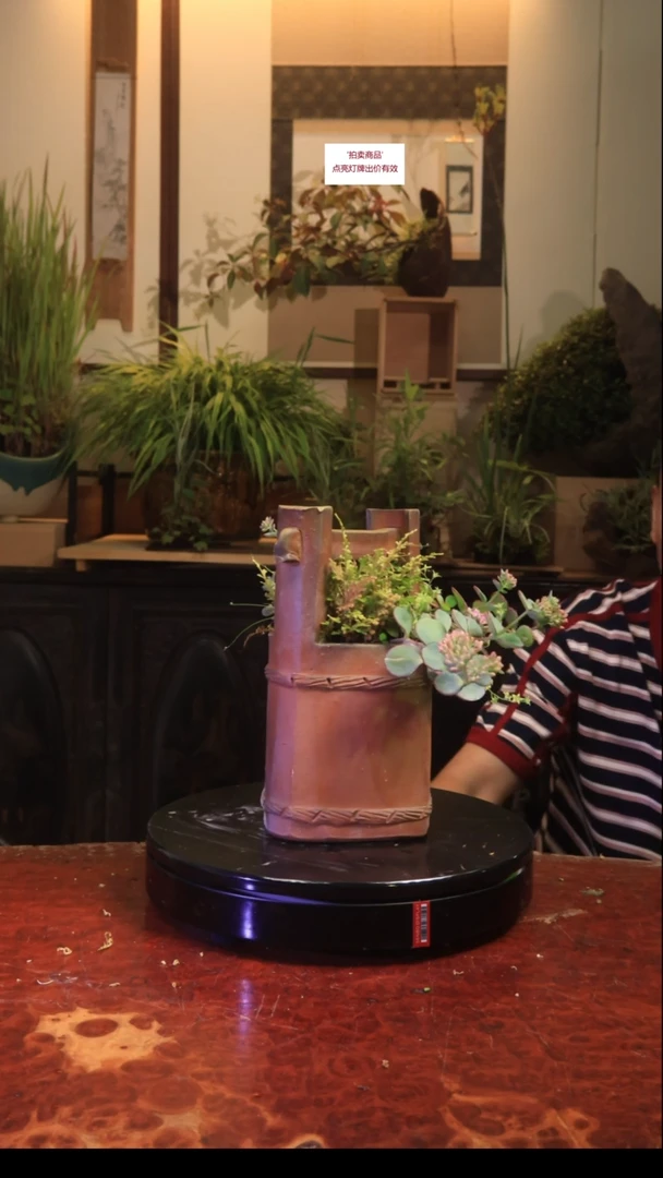 无花朵v肉体和vu本人与