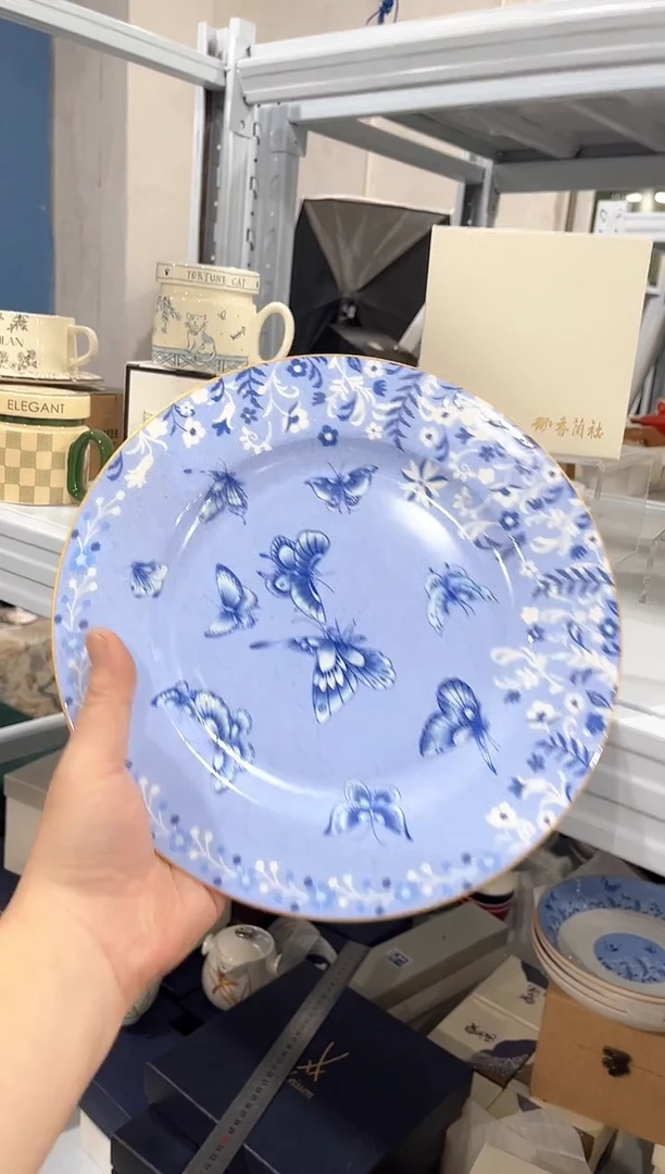 杯子陶（简装）10.5寸大盘