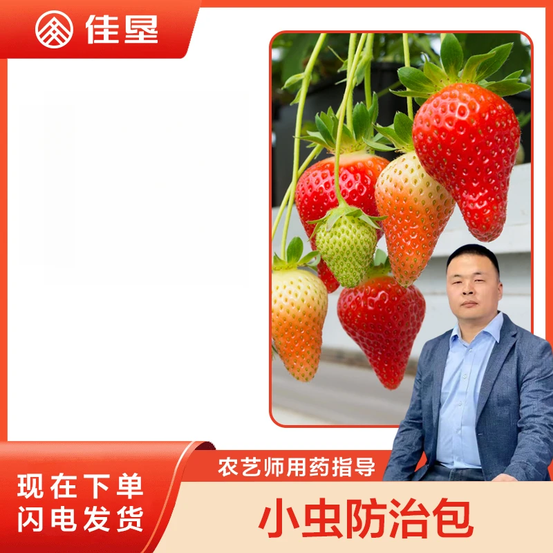 佳垦草莓进棚现蕾期小虫统防