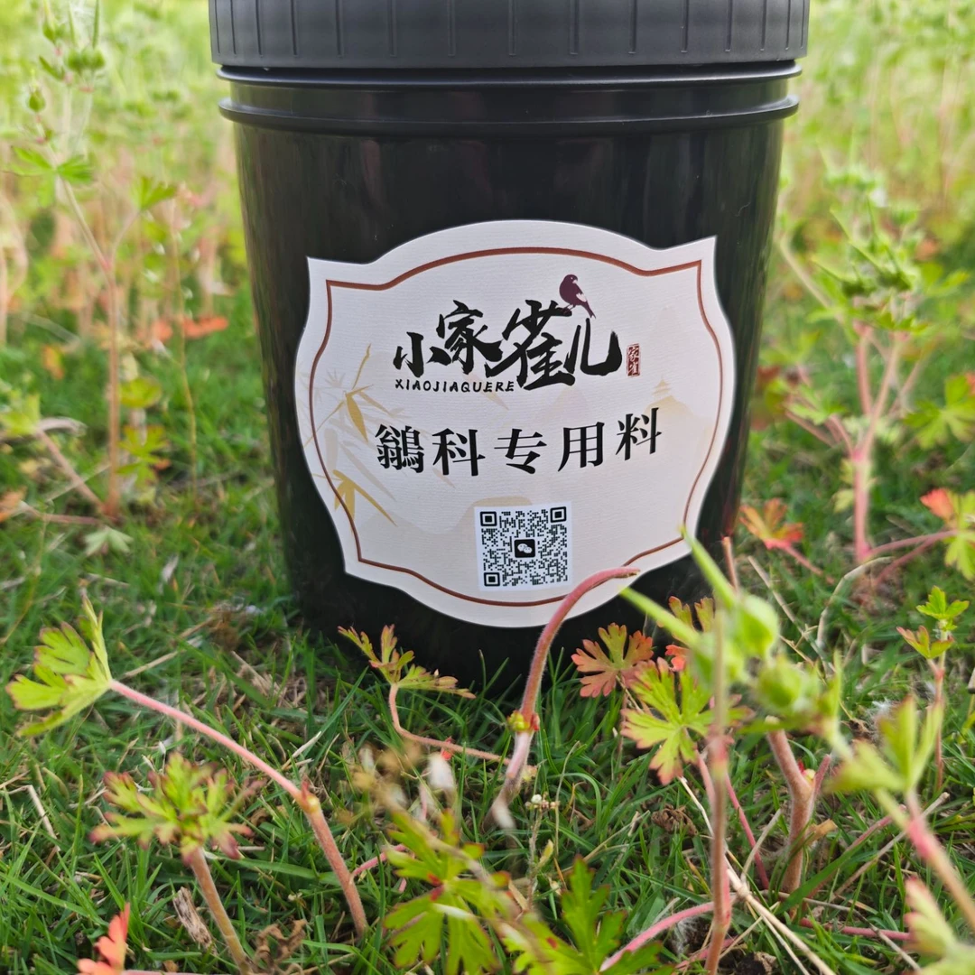 【杂鸟粮】养殖场自用鹟科专用杂粮料500克装