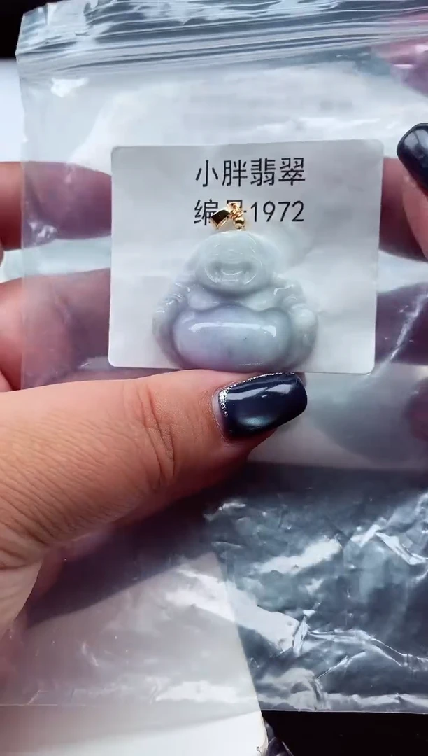 颈饰未镶嵌翡翠缅甸天然A货翡翠1972