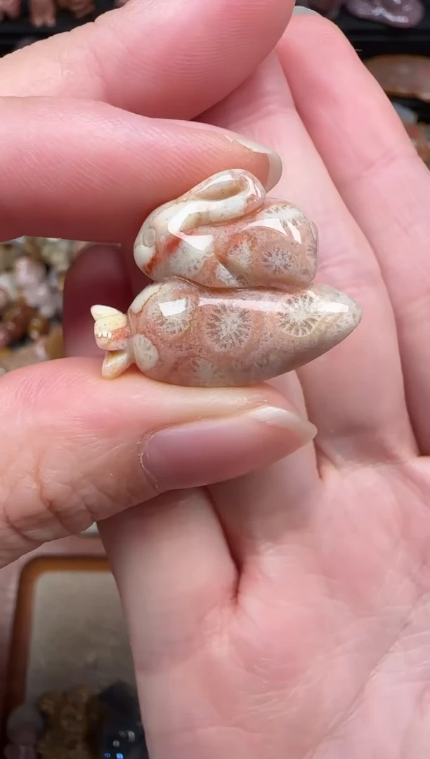 颈饰未镶嵌硅化珊瑚（珊瑚玉）672