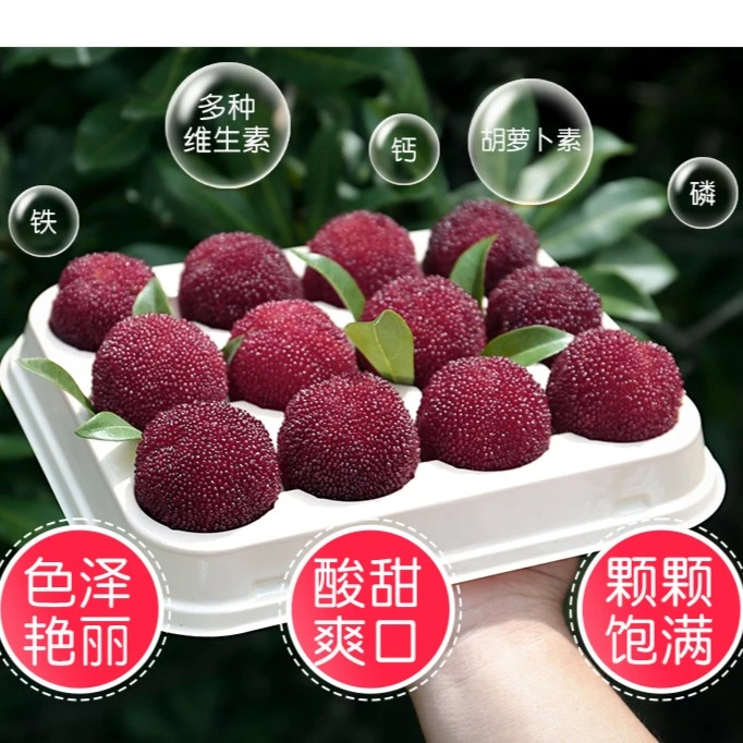 【10A特大果】正宗农户仙居东魁杨梅现摘颗粒包装当季新鲜水果水果