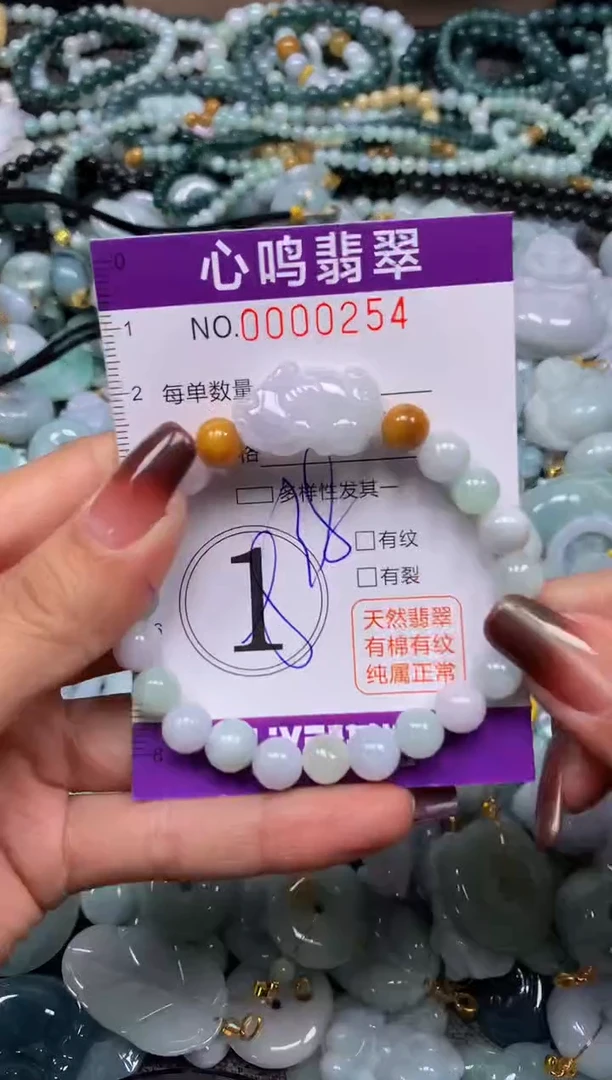 颈饰未镶嵌翡翠闪购00254