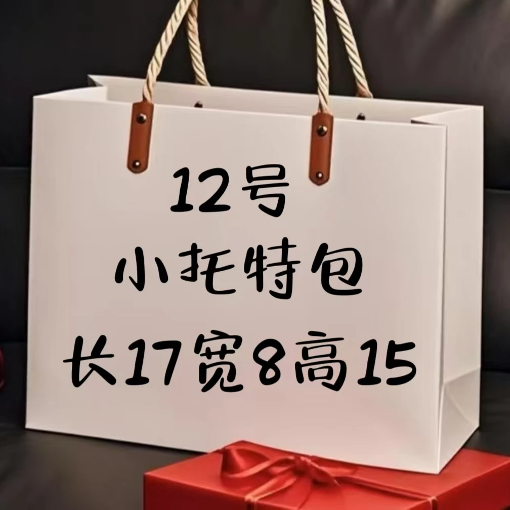 （12号）轻奢斜跨百搭休闲时尚小托特包8119