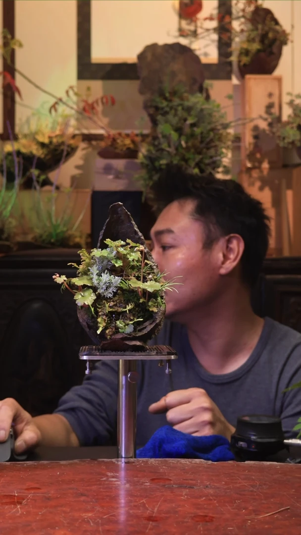 水滴水滴谁嘀嘀嘀