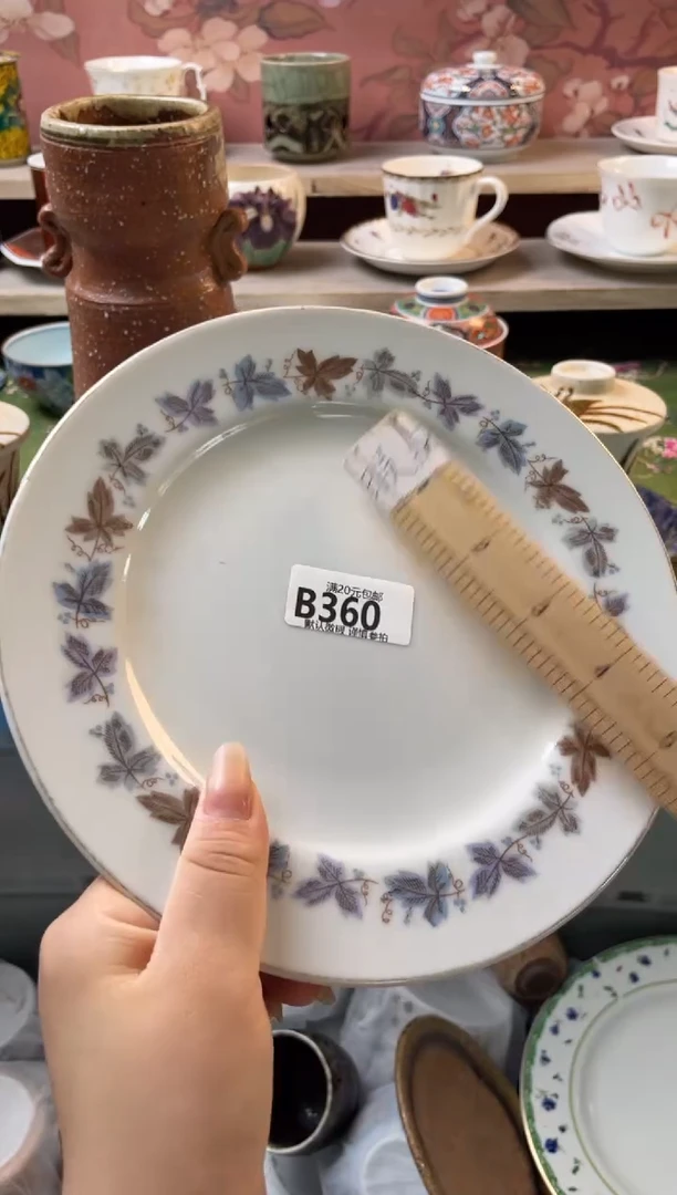 瓷片摩****）瓷器瓷器B360