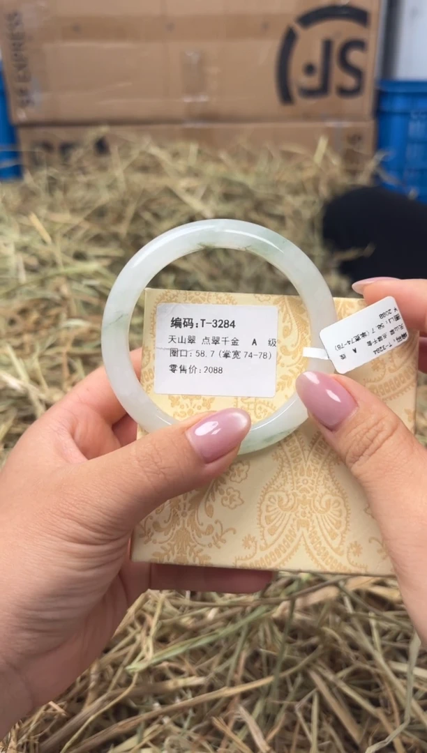 未镶嵌手镯石英质玉T-3284