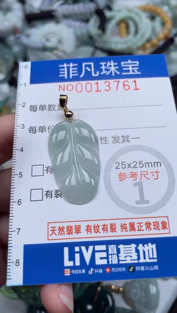 颈饰未镶嵌翡翠13761