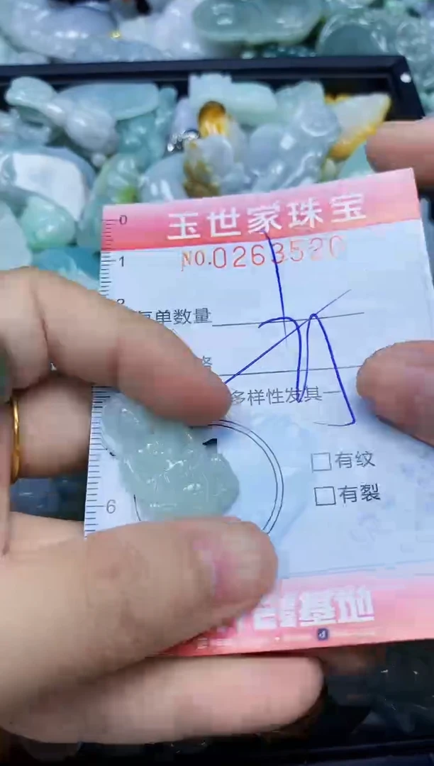 翡翠未镶嵌颈饰闪购0263520多样性发其一
