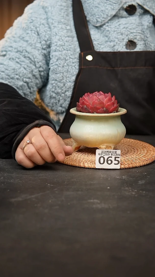 【闪购商品】瓷片065泥泥手工花盆口7-8高7-8