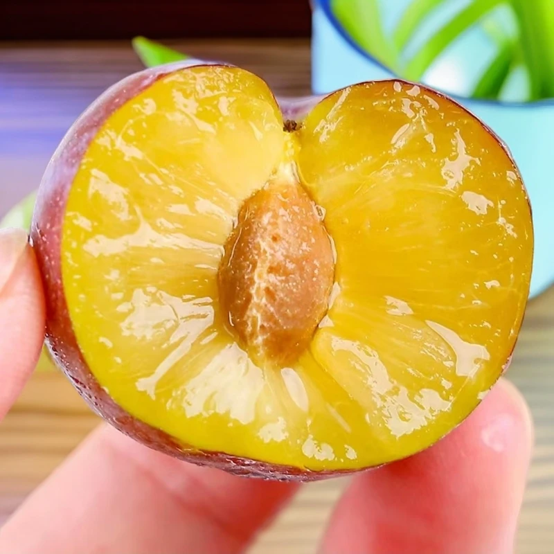 四川高山新鲜应季脱骨脆红李脆甜多汁爽口肉厚爽脆