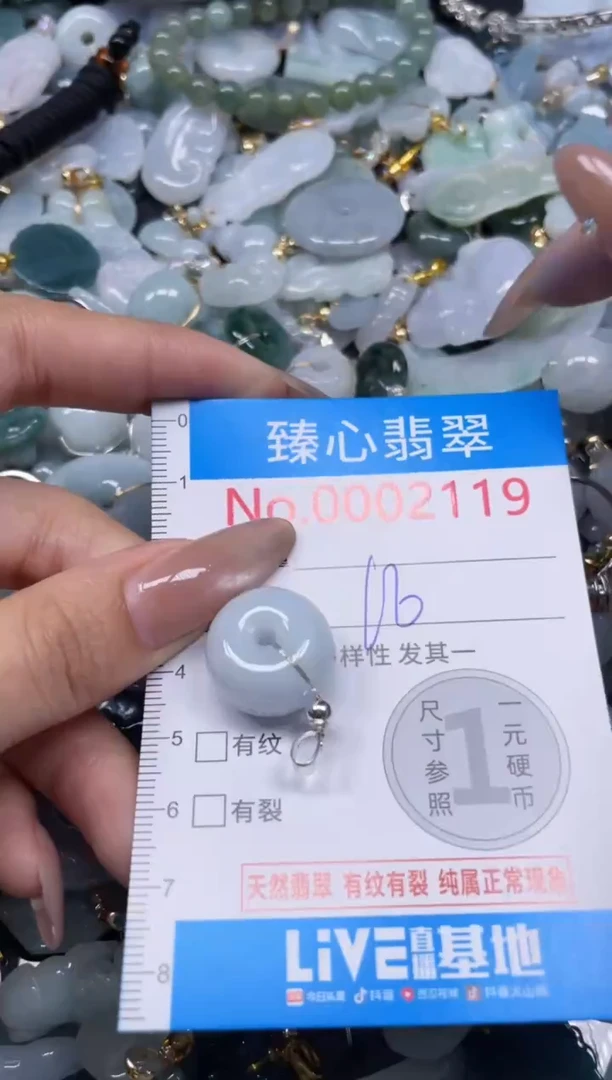 颈饰未镶嵌翡翠2119