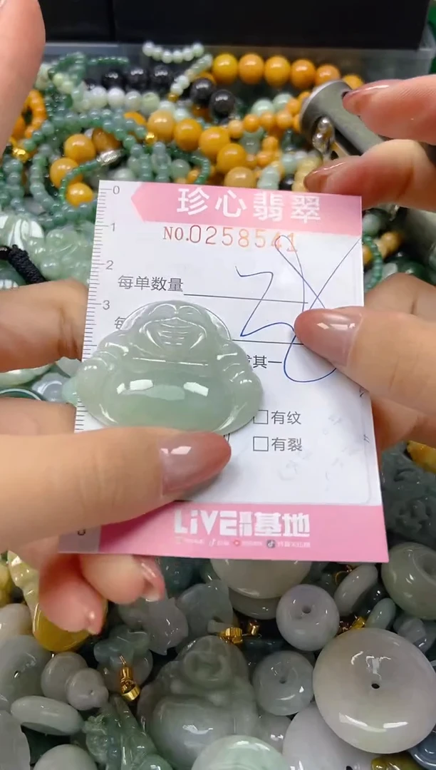 翡翠未镶嵌颈饰闪购0258541