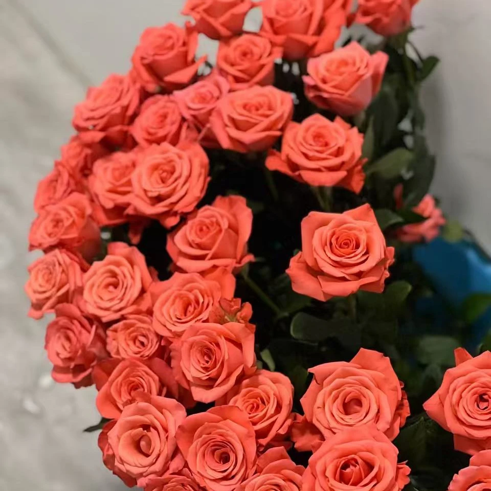 【不止是花】影星玫瑰（直播间展示为准/10％损耗无售后介意勿拍）