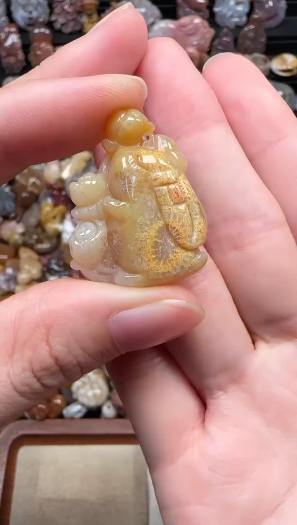 颈饰未镶嵌硅化珊瑚（珊瑚玉）469