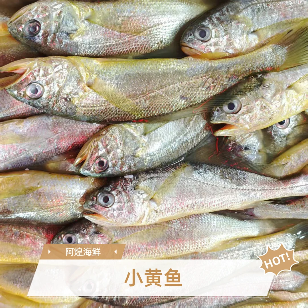 野生【小黄花鱼】海中软黄金  厦门发货 顺丰新鲜到家