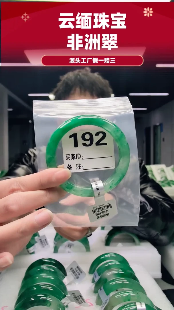 未镶嵌手镯石英质玉（非洲翠）60圈口192