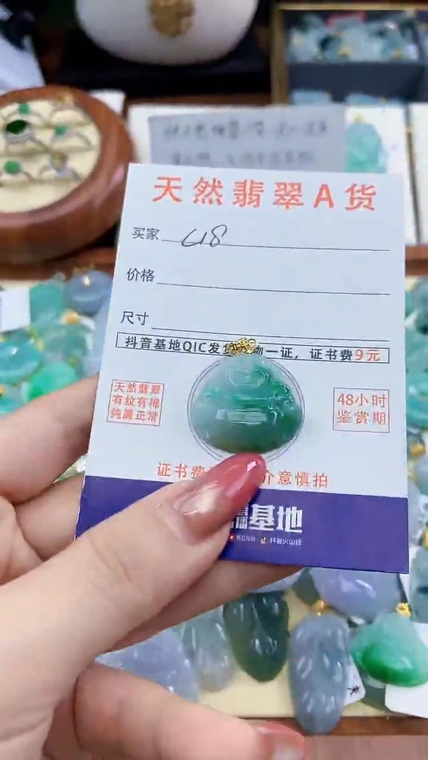 颈饰未镶嵌翡翠天然A货翡翠挂件