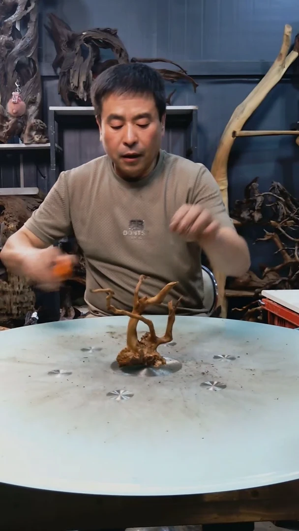 507清香阁清香阁清香阁