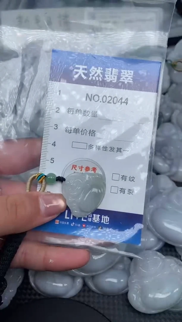 颈饰未镶嵌翡翠纯天然A货翡翠2044