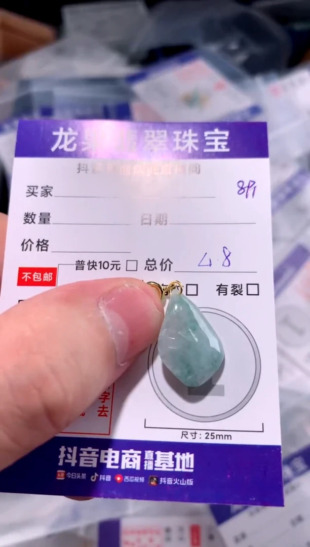 翡翠未镶嵌颈饰随形891