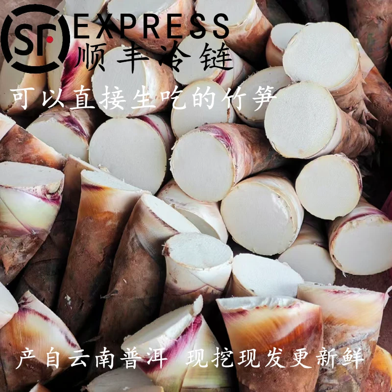 云南曼歇甜笋现摘现发普洱新鲜甜龙竹笋可生吃的甜笋家庭量贩装