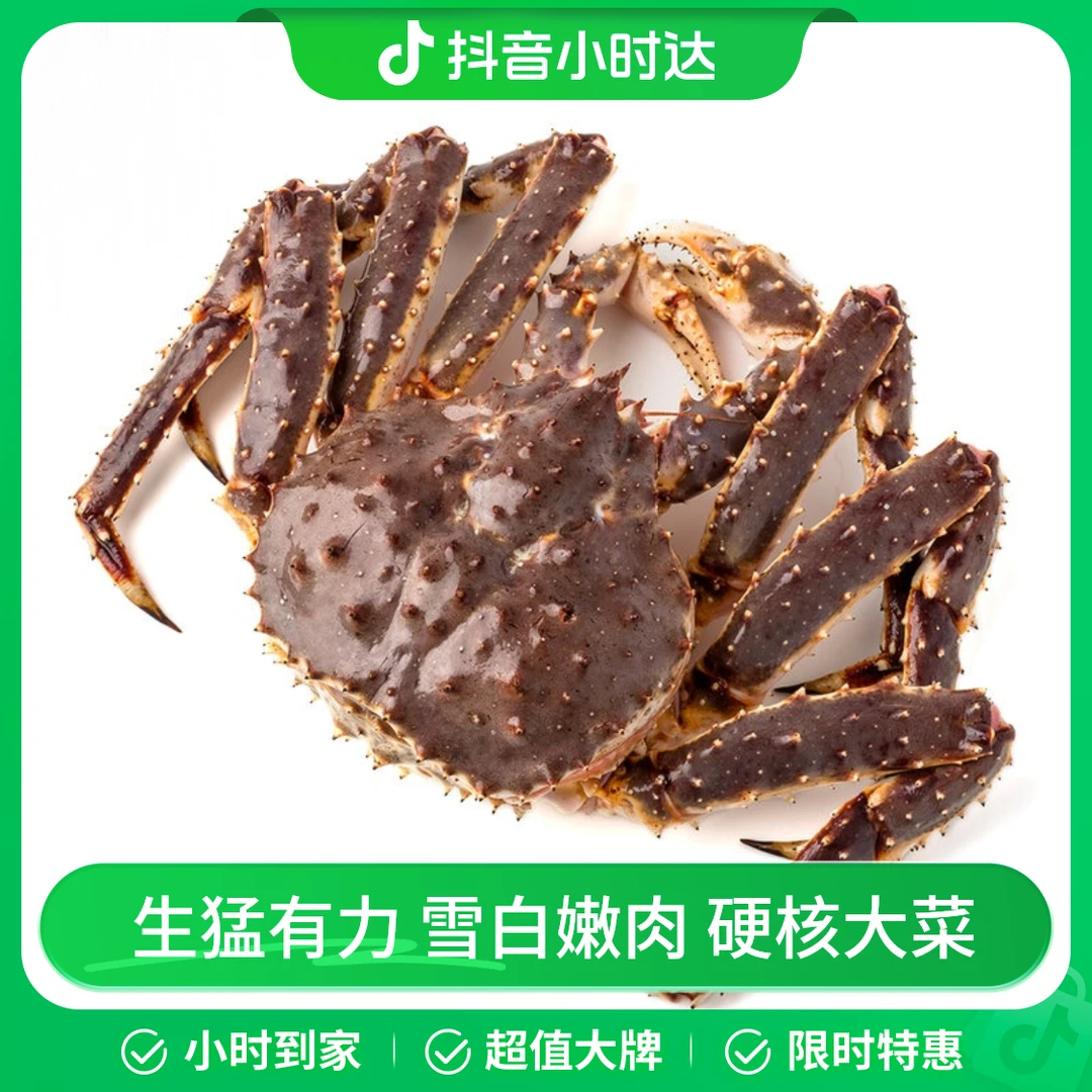 鲜活俄罗斯帝王蟹1只 1.5kg以上