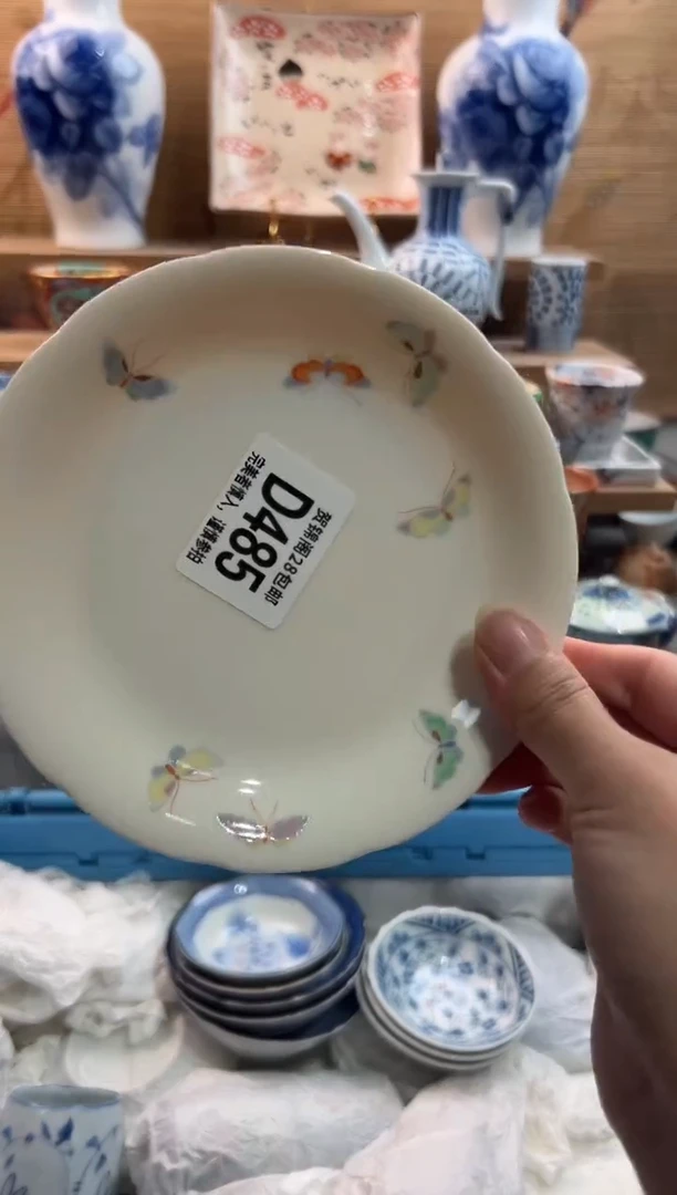 瓷片s**l      D485