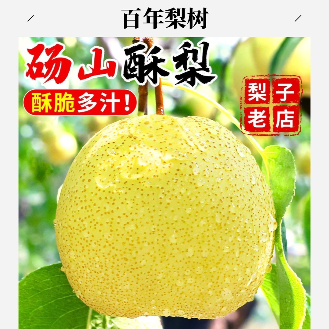 【送人送礼必备】正宗砀山酥梨脆甜多汁纯甜新鲜水果老树砀山梨