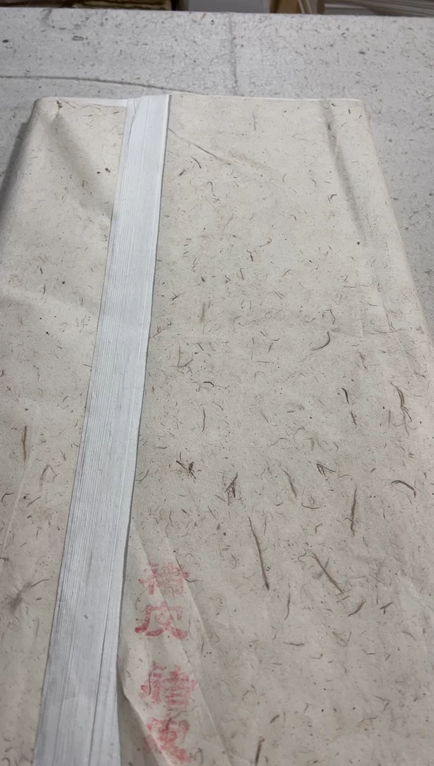 四尺褚皮纸   49张   3分熟