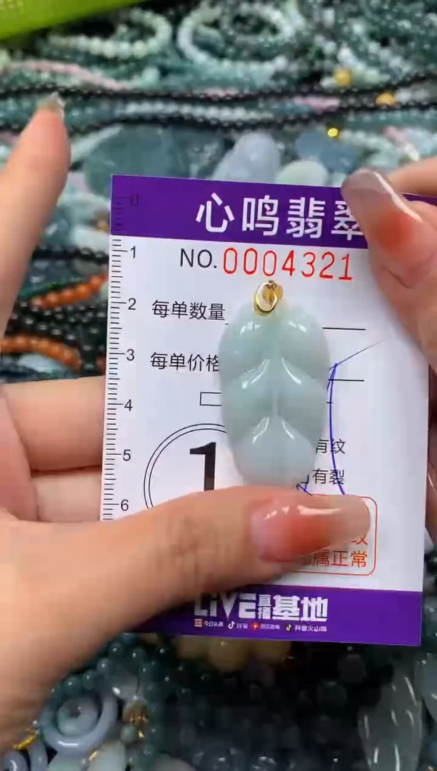 颈饰未镶嵌翡翠闪购004321