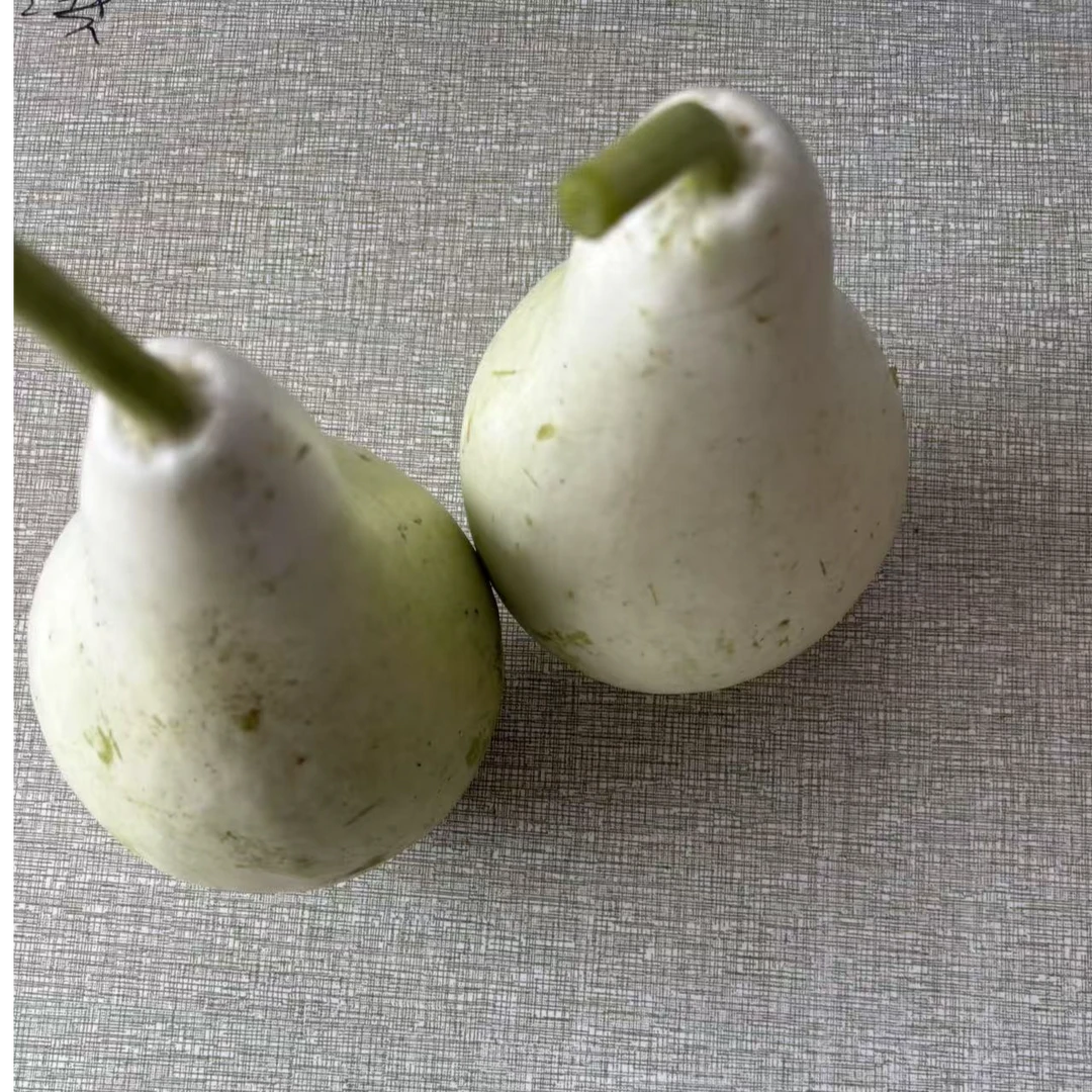 安庆石牌阿丰蔬菜本地露天种植葫芦顺丰快递