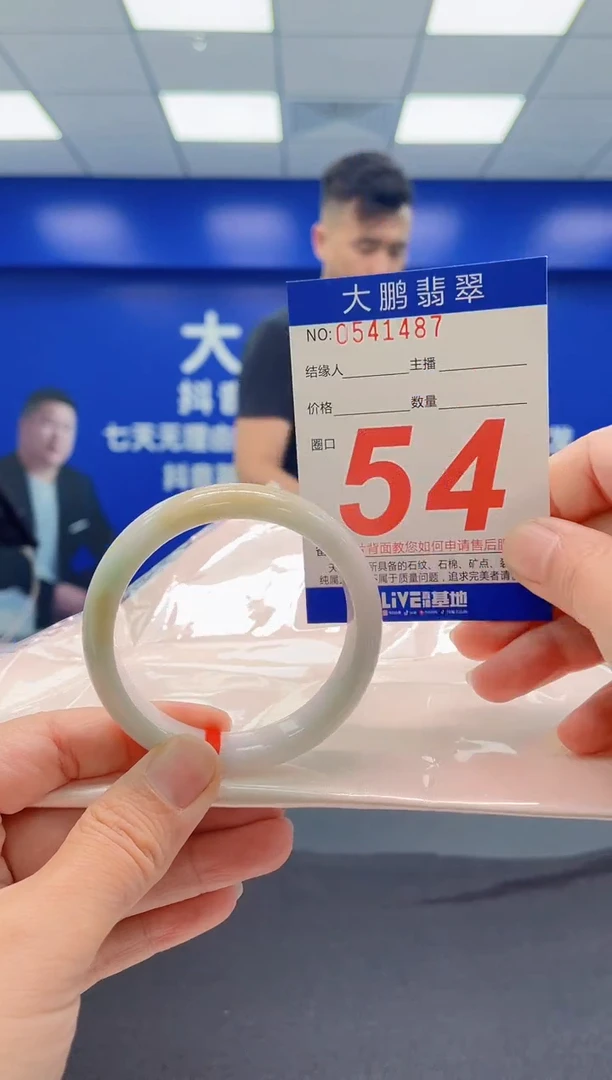 未镶嵌手镯翡翠AAAAAAAAA